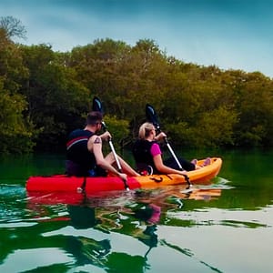 Mangroves Kayaking at Purple Island - Qool Qatar Must-see attractions