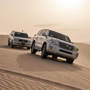 Desert Safari - Half Day at Sealine - Qool Qatar Must-see attractions