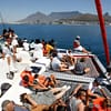 1- Hour Catamaran Cruise Cape Town at Waterfront Boat Tours, Cape Town, South Africa - Image 2