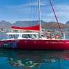 1- Hour Catamaran Cruise Cape Town at Waterfront Boat Tours