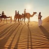 Desert Safari & Bab Al Shams Dinner at Al Hadheerah at Al Hadheerah