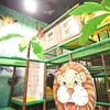 Play Area Entry With Sand Art Dubai