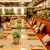 Premium 4* Dinner Buffet With Beverages For 1-4 Guests Dubai - Image 3