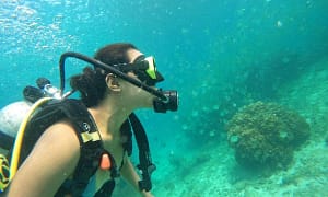 Embark On Adventure: Try Dive