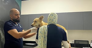 Full-Service Veterinary Solutions For Your Furry Friends Dubai