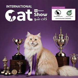 Cat Show in Riyadh Exhibitions