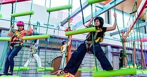 Exciting Canopy Trail For One