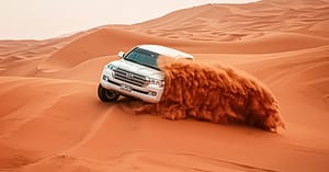 Evening Desert Safari + Bbq