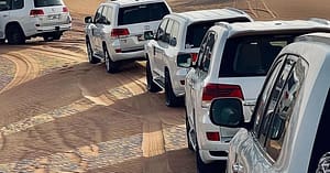Desert Safari Adventure: Dinner & Live Shows