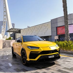 Ultra - Luxury City Tour with Private Chauffeur Recently Added Experiences