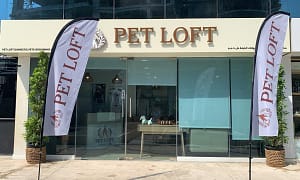 Get Cat Or Dog Bath & Blow (Wash