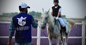 Ride Through Desert Beauty With Horseback Hacks & Arena Lessons Dubai