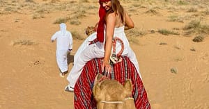 Falconry - Recreational Dubai