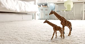 Carpet Cleaning Dubai