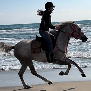 Horse Riding at Shahaniya -  Qool Qatar Must-see attractions