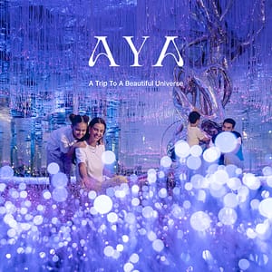 ARTE Museum Dubai & AYA - A trip to a beautiful universe Combos and more adventures