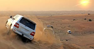 Vip Desert Safari Sharjah & N. Emirates