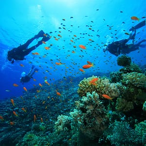 Scuba Diving at Sealine - Qool Qatar Must-see attractions