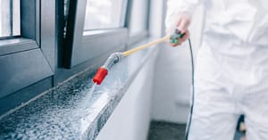 Pest Control Service - Rodent Dubai