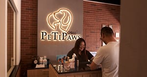 Small/Medium/Large Dog Basic Or Dry Grooming For Cat Dubai