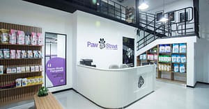 Pamper Your Pet Basic Or Full Grooming For Small To Xl Dogs Or Cats Dubai