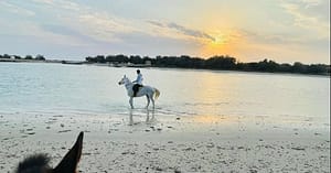 Horseback Riding By The Beach Dubai