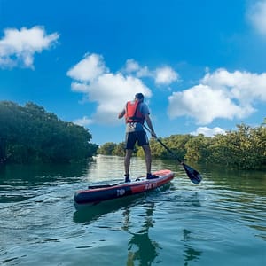 Mangroves paddleboarding at Purple Island - Qool Qatar Must-see attractions