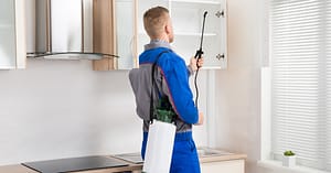 Pest Control For Studio