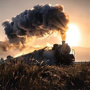 Steam Train to Elgin Railway Market at Ceres Rail Company