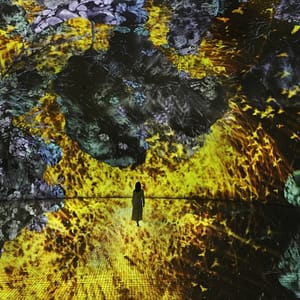 TeamLab Phenomena + Louvre Abu Dhabi - Combo Recently Added Experiences