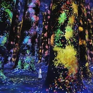 TeamLab Phenomena + Qasr Al Watan - Combo Recently Added Experiences