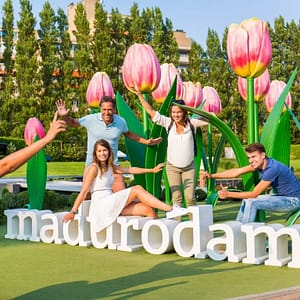 Tour to Delft