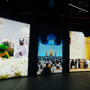 TeamLab Phenomena Abu Dhabi + Free Light and Peace museum Combos and more adventures