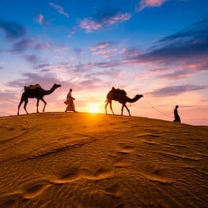 Premium Desert Safari With Vip Transfer