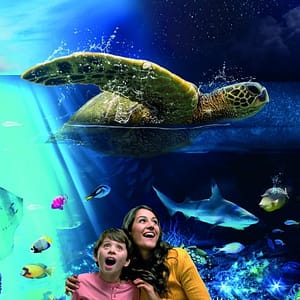 SEA LIFE Brighton Recently Added Experiences