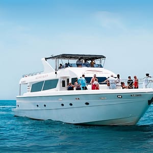 Dubai Marina 1 Hour Yacht Tour Boat Tours and Cruises