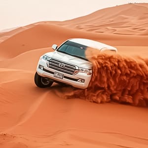 Evening Desert Safari + Bbq
