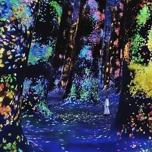 TeamLab Phenomena Abu Dhabi - Dated Museums