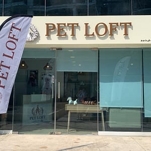 Get Cat Or Dog Bath & Blow (Wash