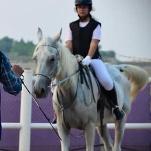 Ride Through Desert Beauty With Horseback Hacks & Arena Lessons Dubai