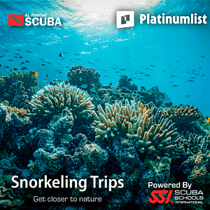 Snorkeling Daily Trips in Jeddah Attractions Special Offers