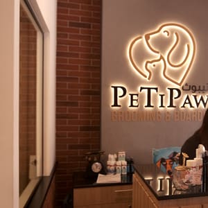 Small/Medium/Large Dog Basic Or Dry Grooming For Cat Dubai