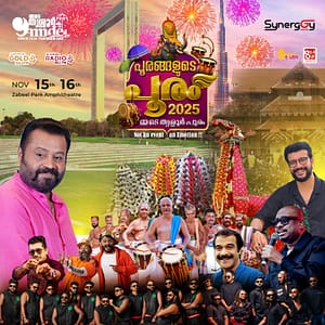 Mmde Thrissur Pooram 2025