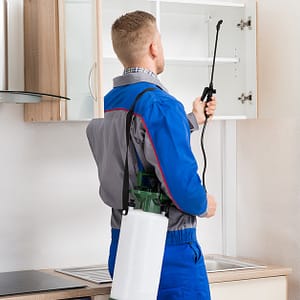 Pest Control For Studio
