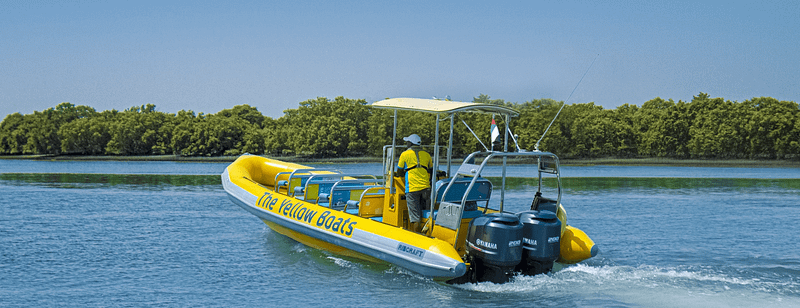 45-minute Yas Experience Abu Dhabi Sightseeing Boat Tour - Boat Tours and Cruises - Image 3