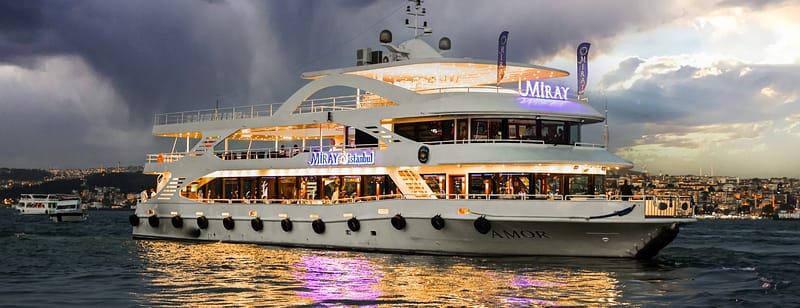 Bosphorus Dinner Cruise Tavern & World Show - Boat Tours and Cruises - Image 3