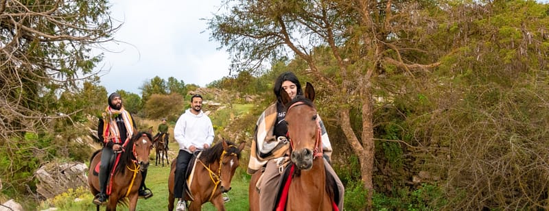 Horse Riding Experience - Recently Added Experiences - Image 3