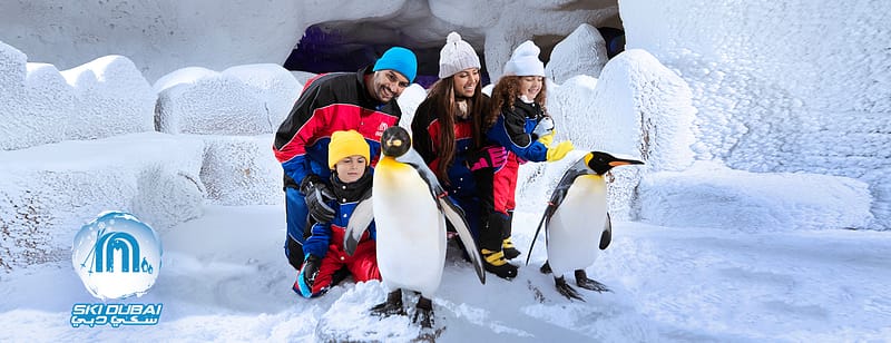 Ski Dubai: Snow Premium with Penguin Encounter + Free Al Shindagha Museum Ticket - Must-see attractions - Image 3