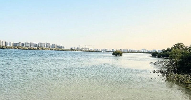 30 Or 60-Minute Quick Scenic Cruise In Abu Dhabi For Up To 2, 3, Or 4 Abu Dhabi - Image 11