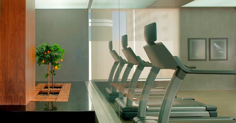 Personal Training Session Dubai - Image 2